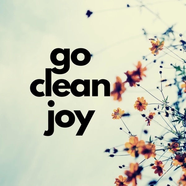 Go Clean Joy House Cleaning Tips Artwork