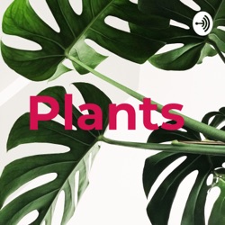 Plants 