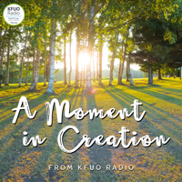Remembering Dr. David Menton