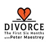 Divorce: The First Six Months with Peter Maestrey artwork