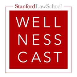 WellnessCast™ Conversation with Joe Bankman and Sarah Weinstein