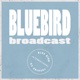 Bluebird Broadcast