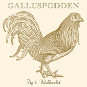 Galluspodden - FUTF:s Klubbverk