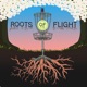 Roots of Flight