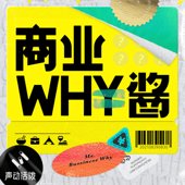 商业WHY酱 - 声动活泼