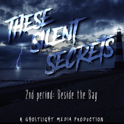 These Silent Secrets: Second Anniversary!!