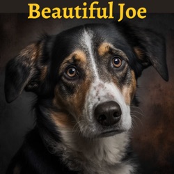 Episode 18 - Beautiful Joe - Marshall Saunders