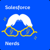 Salesforce Nerds - Synebo