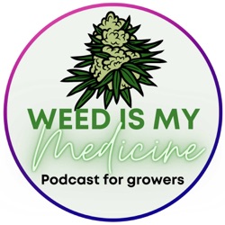 #4 - Is growing at home cannabis cost effective?