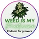 #5 - What do you need to grow weed at home?