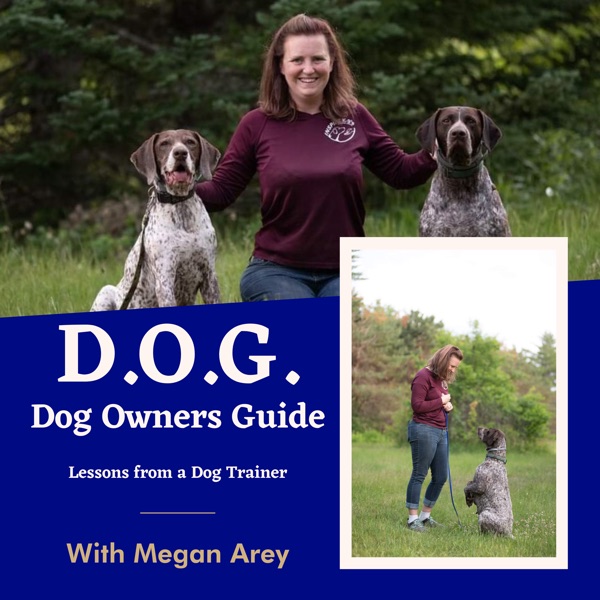 D.O.G. Dog Owners Guide Podcast Artwork