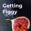 Getting Figgy artwork