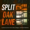Split Oak Lane artwork