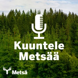 Ääniartikkeli: Uusi Metsä Group Plus -palvelu lisää metsien monimuotoisuutta