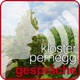 Kloster Pernegg - Gespräche