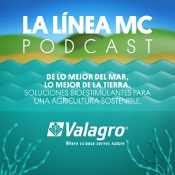 LA LÍNEA MC - De lo mejor del mar, lo mejor de la tierra