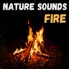 Nature Sounds - Fire artwork