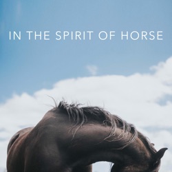 36 | The Importance of Valuing Joy in Horsemanship w/ Menea Johansson Djärv