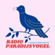Radio Paradijsvogel