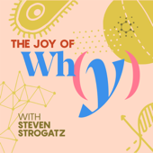 The Joy of Why - Steven Strogatz and Quanta Magazine