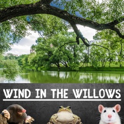 4 - Mr. Badger - The Wind in the Willows