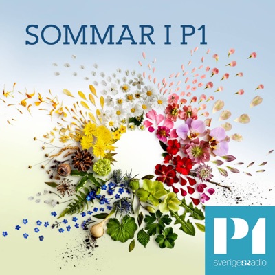 Sommar & Vinter i P1:Sveriges Radio