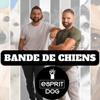 Bande de Chiens ! - Esprit Dog