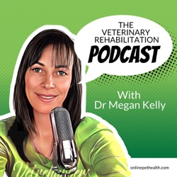 Behind The Vet Rehab Practice with Shawn Zimmermann