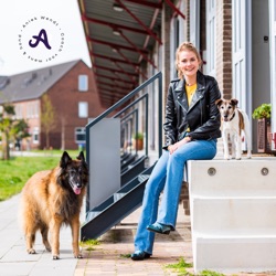 #46 Trekt een hond aan de lijn omdat hij zich bedreigd voelt? Redenen waarom een hond aan de lijn trekt!