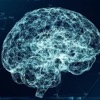 Neuroscience