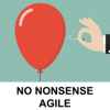 No Nonsense Agile Podcast - Murray Robinson & Shane Gibson