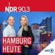 Euro 2024: Wie will Hamburg für sichere Spiele sorgen?