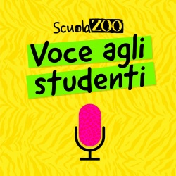 Dalle scuole chiuse e la DAD fino al rientro a scuola: come la stanno vivendo gli studenti