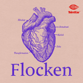 Flocken - Third Ear Studio