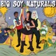 Big Soy Naturals