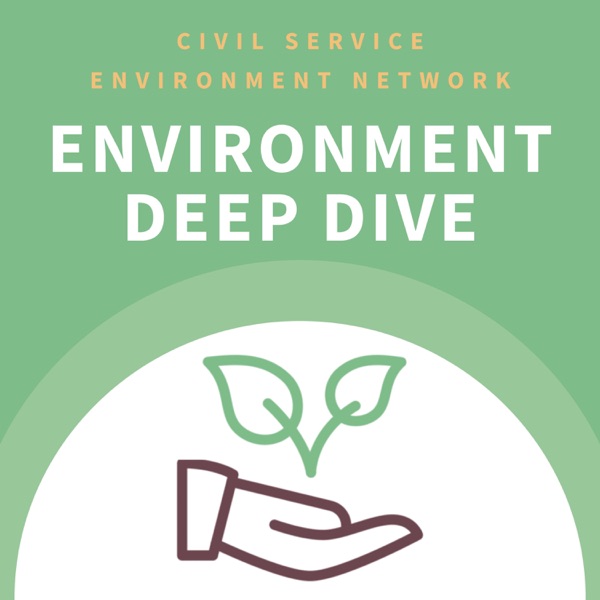 Environment Deep Dive