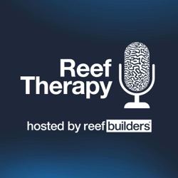 Celebrating 100 Sessions of Reef Therapy