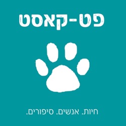 05 סוקי