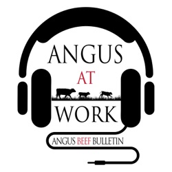 Angus at Work