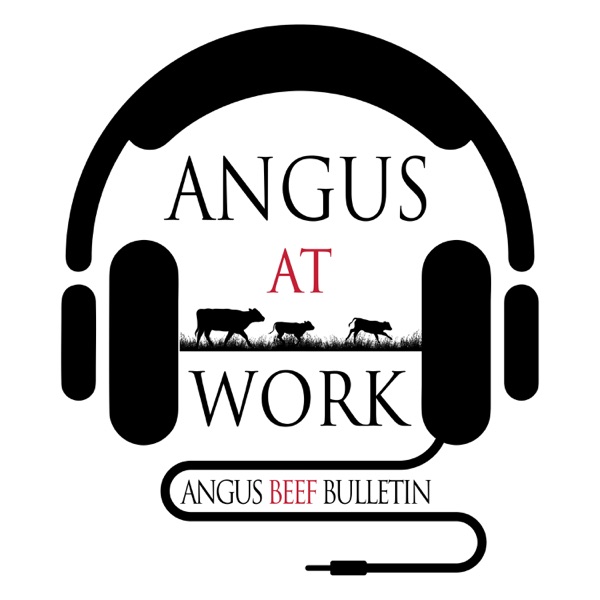 Angus at Work Artwork