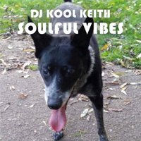 DJ Kool Soulful Vibes podcast