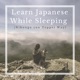 Learn Japanese While Sleeping(Nihongo con Teppei Way)