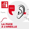 La Puce à l'oreille