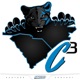 C3 Panthers Podcast: Carolina Panthers