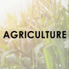 Agriculture - Daily Dodge