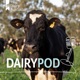 Shaping Dairy Australia’s strategic plan