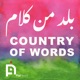 Country of Words: Conversations on Palestinian Literature