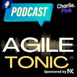 Agile Tonic Shot #3: Le Product Owner
