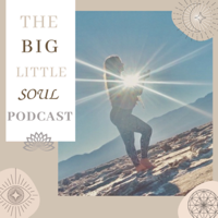 6. Functional Health & Healing with Vince Pitstick 