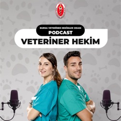 Kimler Veteriner Hekimliği Seçerse Mutlu ve Başarılı Olabilir? I #7